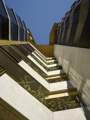 Fortitude Valley State Secondary College | Design: COX | Images: Christopher Frederick Jones | Builtworks.com.au
