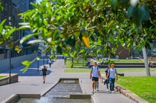 Central Park Public Domain | Public Domain Masterplan and Design: Turf Design | Image: Ethan Rohloff, Murray Fredericks, Simon Wood | Builtworks.com.au