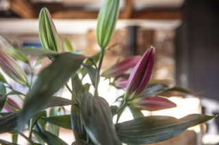 Munnering Ln House | Design: McIldowie Partners | Image: Mark Chew | Builtworks.com.au