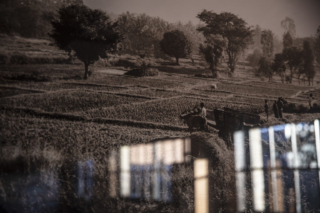 Munnering Ln House | Design: McIldowie Partners | Image: Mark Chew | Builtworks.com.au