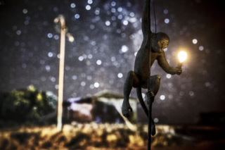 Munnering Ln House | Design: McIldowie Partners | Image: Mark Chew | Builtworks.com.au