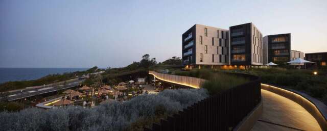 Harbord Diggers Club | Design: CHROFI, Architectus, JMD design | Image: Various Photographers | Builtworks.com.au