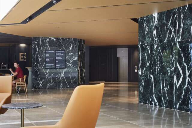 251 Vista Green | Design: Cox Architecture | Image: Robert Frith | Builtworks.com.au