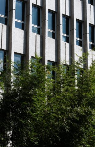 J.D. Storey Administration Building | Design: James Birrell | Image: Jeff Gardner | Builtworks.com.au