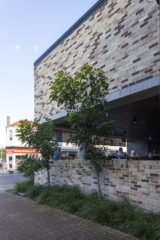 Ruby Lane | Design: CHROFI | Image: Simon Whitbread Ruby Lane | Design: CHROFI | Image: Simon Whitbread | Builtworks.com.au