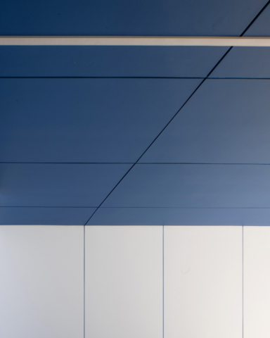 Big Blue | Design: Fuse Architecture | Image: Sara Vita | Builtworks.com.au