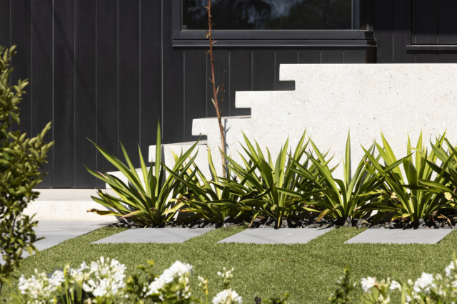 Sunny House | Design: WYK Architecture | Image: Dianna Snape | Builtworks.com.au