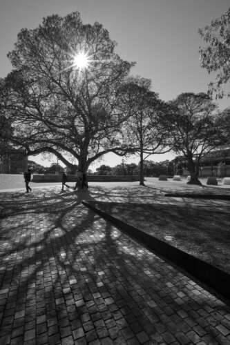Sydney University Eastern Avenue