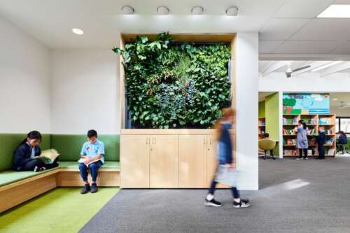 Dandenong South Primary School 