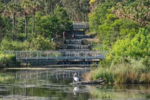 Sydney Park Water Re-Use Project