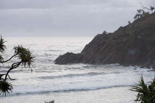 In-Group Preference and Tribalism, Cabarita Beach NSW, 2022