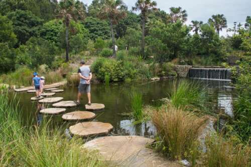 Sydney Park Water Re-Use Project