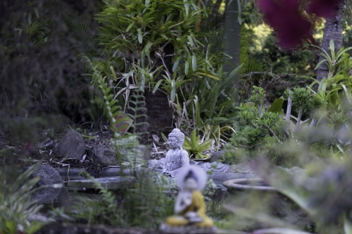 Garden of Enlightenment, Chenrezig Institute, Eudlo, 2022